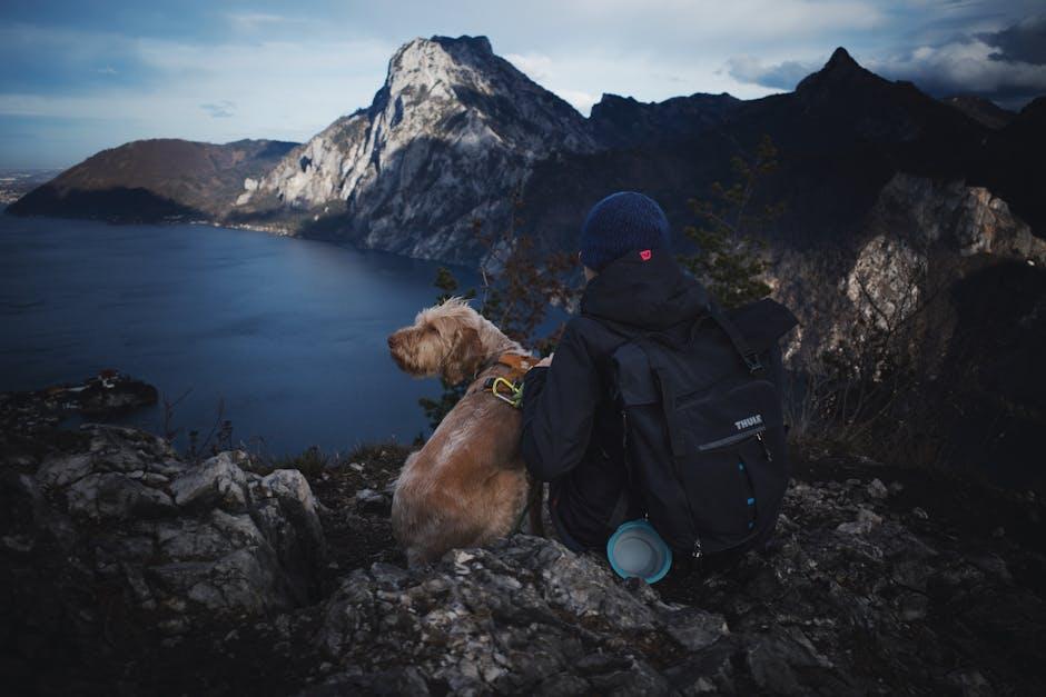 Pet-Friendly Adventures: Tips for Traveling with Your Furry BFF!